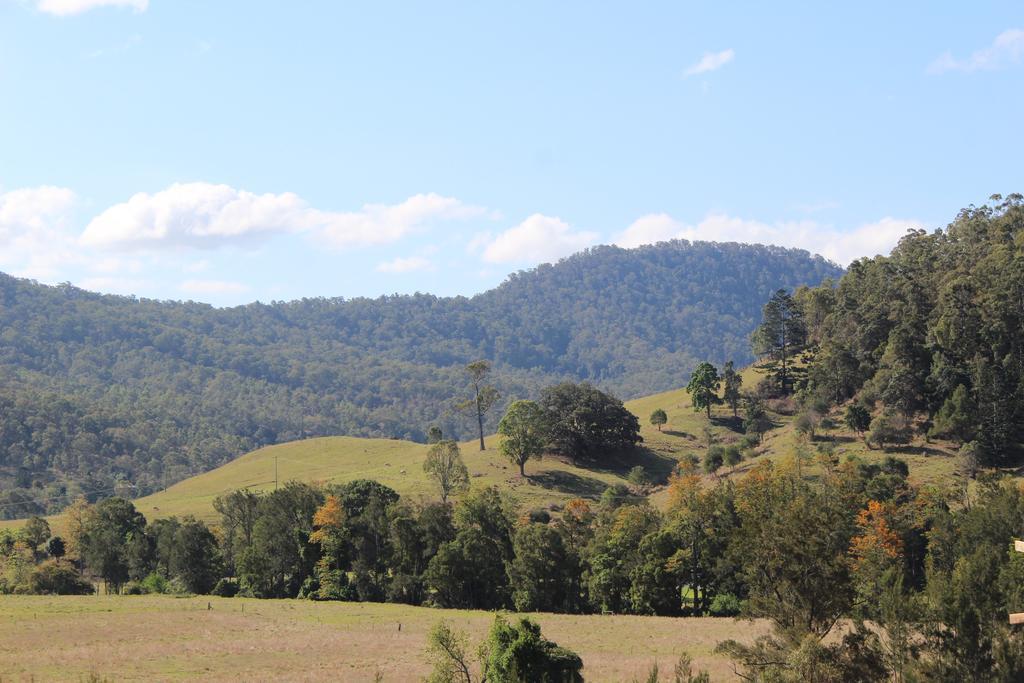 Greenlee Cottages Canungra Exterior photo